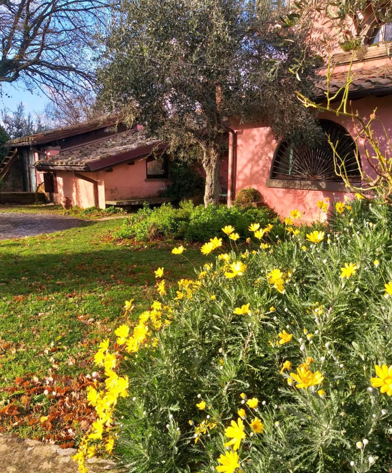 Bed and Breakfast La Chiesuola Bagnaia  Exterior foto