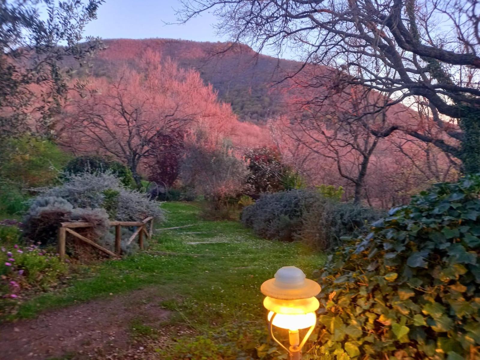 Bed and Breakfast La Chiesuola Bagnaia  Exterior foto